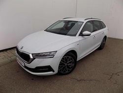 Albmetalicperleffect Utilizat 2022 Skoda Octavia Ambition Break | 18.890 EUR (Preț OK)