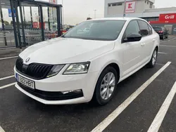 Alb Utilizat 2019 Skoda Octavia Berlinǎ | 13.890 EUR (Preț bun)
