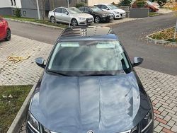 Culoaregri Utilizat 2017 Skoda Octavia Berlinǎ | 14.200 EUR (Preț OK)