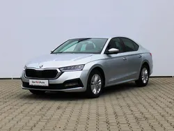 Gri mediu normal Utilizat 2020 Skoda Octavia Ambition Berlinǎ | 18.900 EUR