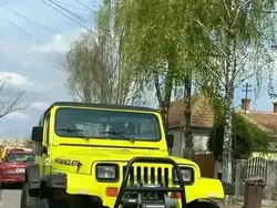 Utilizat 1995 Jeep Wrangler SUV | 10.300 EUR