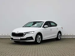 Albnormal Utilizat 2020 Skoda Octavia Ambition | 18.500 EUR (Preț OK)