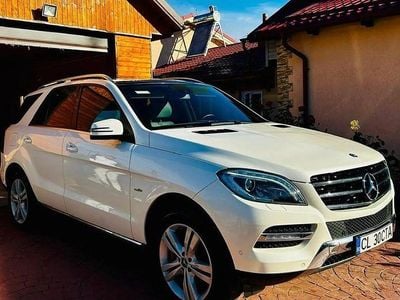 Mercedes ML250