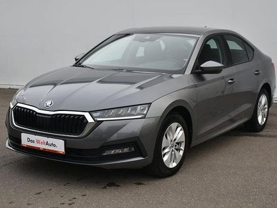 Second-hand Skoda Octavia Ambition 150 CP (110 kW) 2023 Gri Hatchback