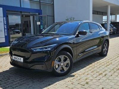 Negru Utilizat 2024 Ford Mustang Mach-E Standard Range SUV | 39.732 EUR