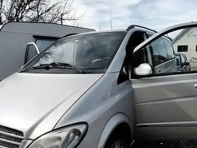 Mercedes Viano