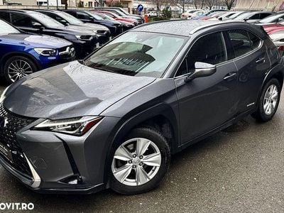 Second-hand Lexus UX 250h Business Edition 184 CP (135 kW) 2021 Culoaregri SUV
