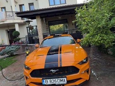 Culoareportocaliu Utilizat 2019 Ford Mustang Coupe | 33.000 EUR