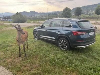 Utilizat 2021 Skoda Kodiaq SUV | 32.000 EUR (Puțin scump)