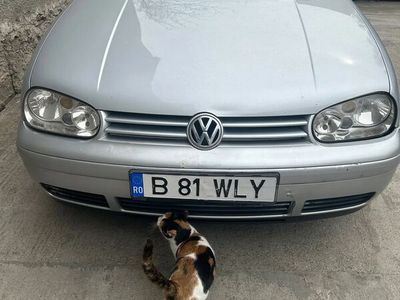 second-hand VW Golf IV 