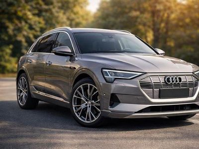 Second-hand Audi e-tron Advanced 230 kW (313 CP) 2019 Culoaregri SUV