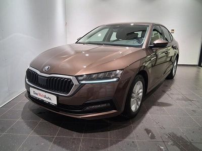 Maro mediu normal Second-hand 2020 Skoda Octavia Ambition | 17.500 EUR (Preț OK)