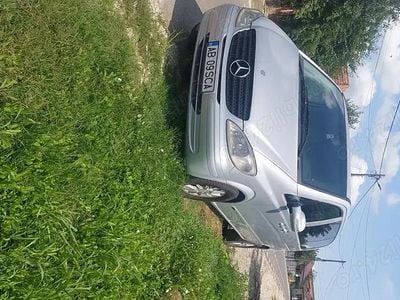 Mercedes Viano