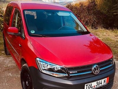 Culoarerosu Utilizat 2019 VW Caddy Trendline Monovolum | 15.500 EUR (Puțin scump)