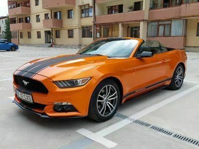 second-hand Ford Mustang Cabrio 2.3 Eco Boost