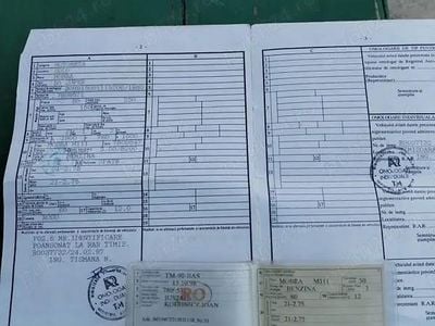 Second-hand MG TF 34 CP (25 kW) 1984 Cabrio