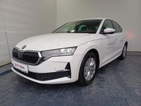 Nouă Skoda Octavia Selection 115 CP (84 kW) 2026 Albnormal