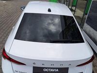 Second-hand Skoda Octavia Style 149 CP (109 kW) 2021 Culoarealb Hatchback