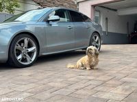 second-hand Audi A5 Sportback 3.0 TDI quattro DPF S tronic