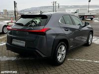 Second-hand Lexus UX 250h Business Edition 184 CP (135 kW) 2022 Culoaregri SUV