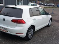 second-hand VW Golf VII 1.6 TDI Trendline