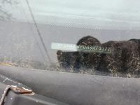 Second-hand Ford Focus 75 CP (55 kW) 2008 Berlinǎ