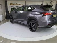 second-hand Lexus NX300h SeriaBusiness