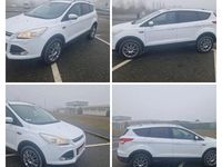 Second-hand Ford Kuga Titanium 163 CP (119 kW) 2014 Culoarealb SUV