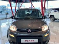 second-hand Fiat Panda 1.0 MHEV