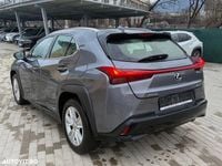Second-hand Lexus UX 250h Business Edition 184 CP (135 kW) 2022 Culoaregri SUV