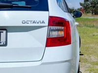 second-hand Skoda Octavia 1.6 TDI Ambition, 2019