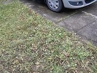 Second-hand Dacia Logan MCV 90 CP (66 kW) 2010 Break