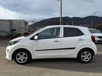 Second-hand Kia Picanto 67 CP (49 kW) 2023 Culoarealb Hatchback