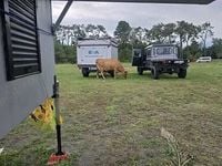 Second-hand Land Rover Defender 89 kW (122 CP) 2012 Monovolum