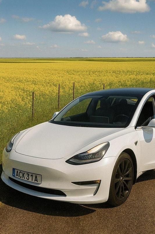 Begagnad 2019 Tesla Model 3 Performance Sedan | 299 000 kr (Dyr) - Bild 1/3