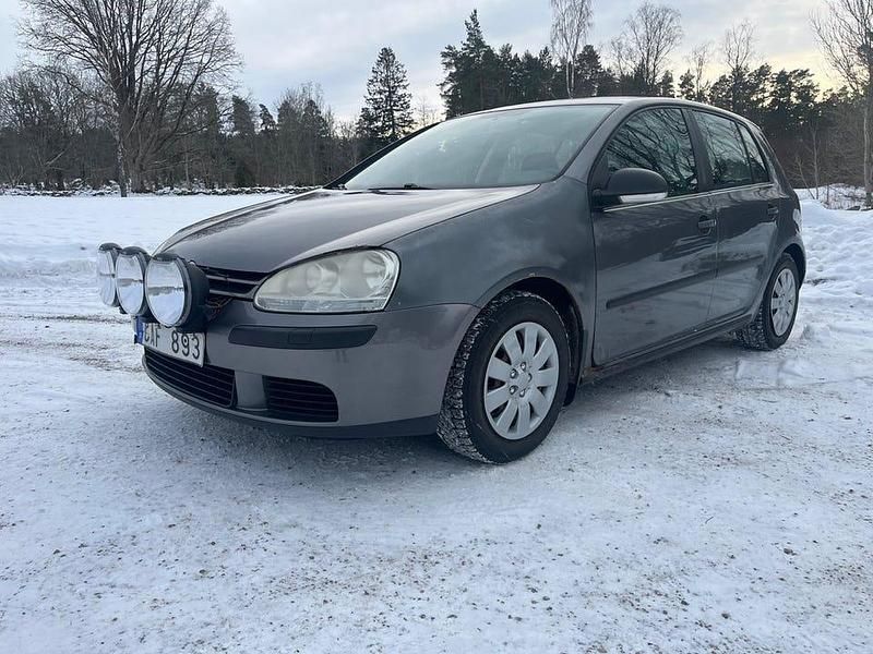 Begagnad VW Golf V Trendline 102 HK (75 kW) 2007 Grå