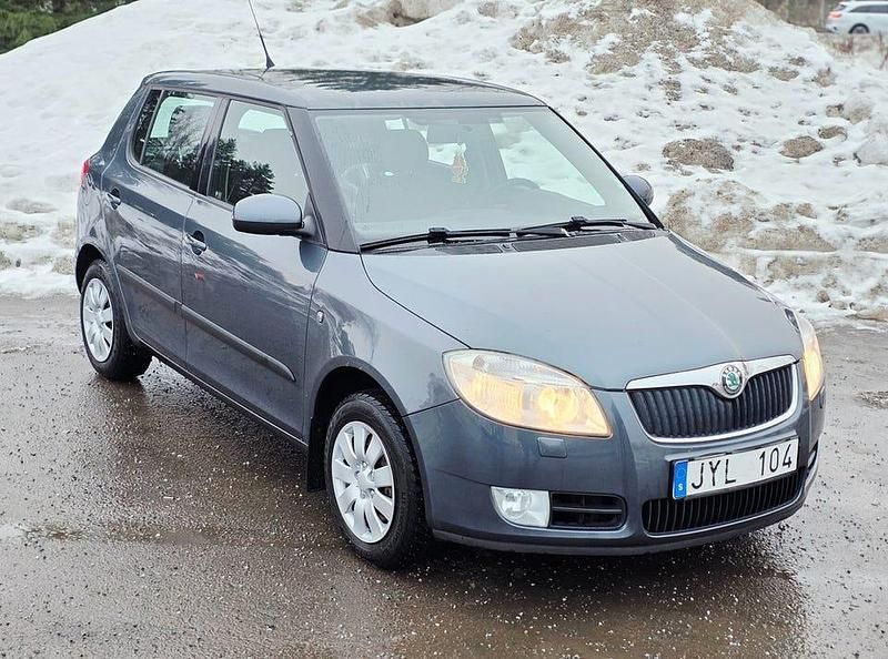 Begagnad Skoda Fabia 69 HK (50 kW) 2010 Grå