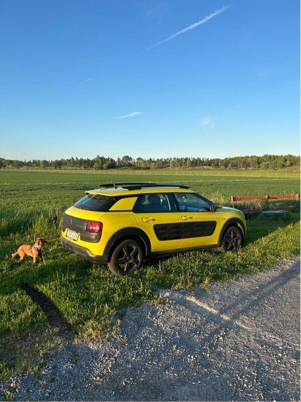 Bild 3/4