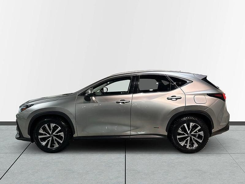 Begagnad Lexus NX350h Executive Line 245 HK (180 kW) 2023 Ljusgrå SUV