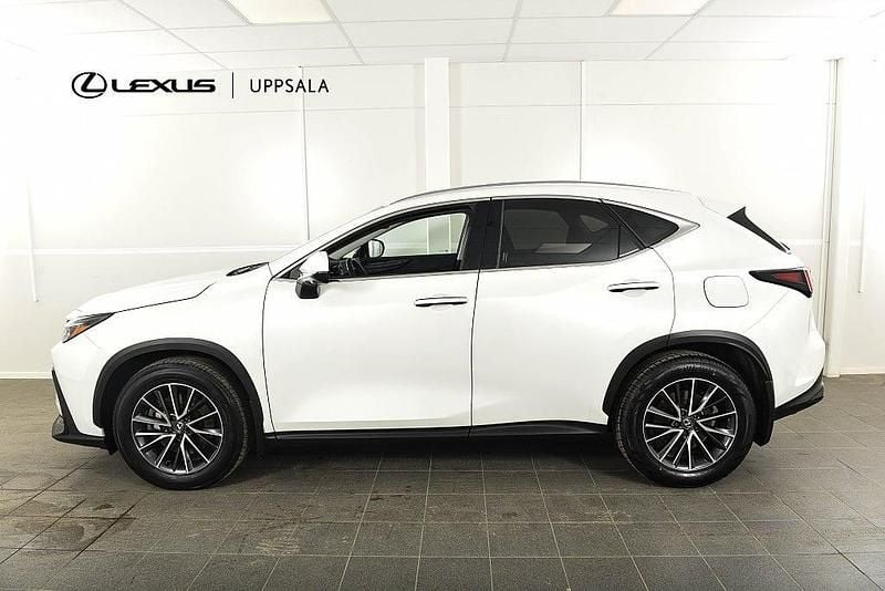 Begagnad Lexus NX450h+ Executive Line 309 HK (227 kW) 2023 Vit SUV