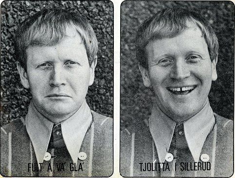 Begagnad Renault Zoe Life 64 kW (88 HK) 2017 Halvkombi