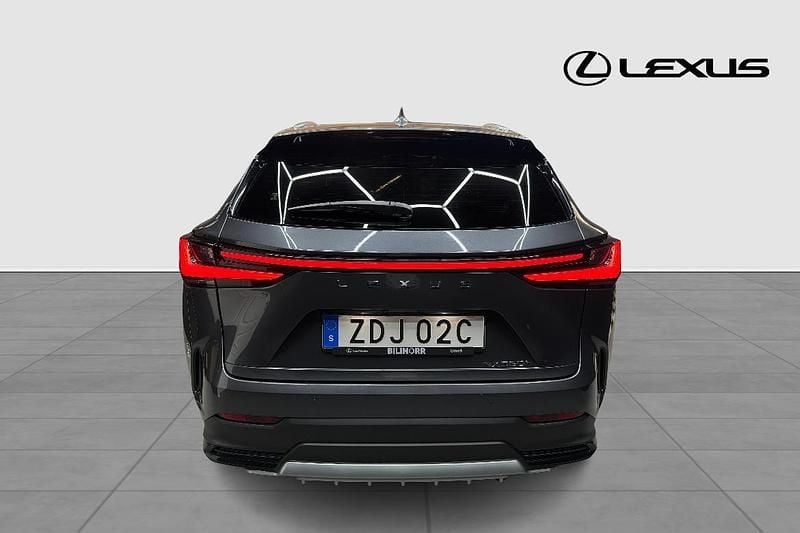 Begagnad Lexus NX350h Executive Line 245 HK (180 kW) 2023 Grå SUV