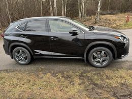 Lexus NX300h