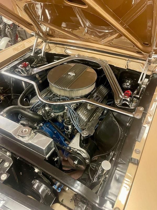 Begagnad Ford V8 203 HK (149 kW) 1966 Bronsmetallic Cab