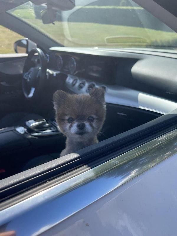 Vit Begagnad 2018 Mercedes E200 Avantgarde Cab | 319 000 kr (Bra pris) - Bild 1/4