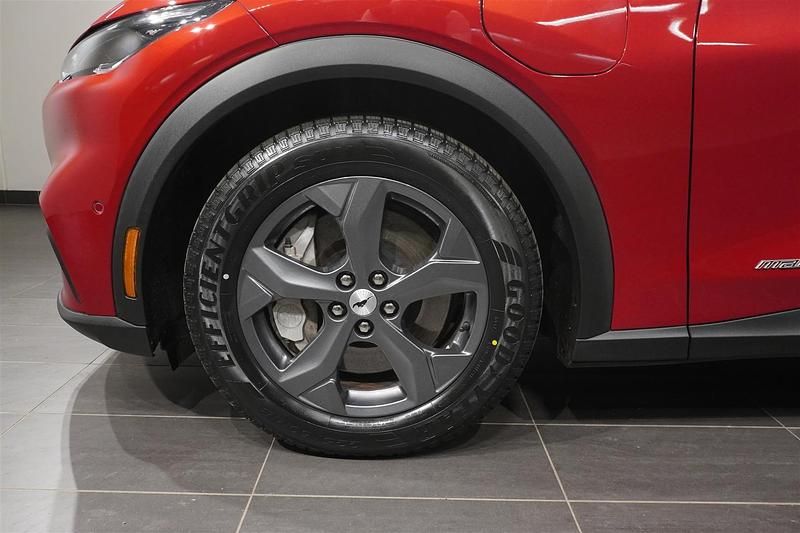 Begagnad Ford Mustang Mach-E Standard Range 221 kW (301 HK) 2022 Rapid red pn4hq SUV