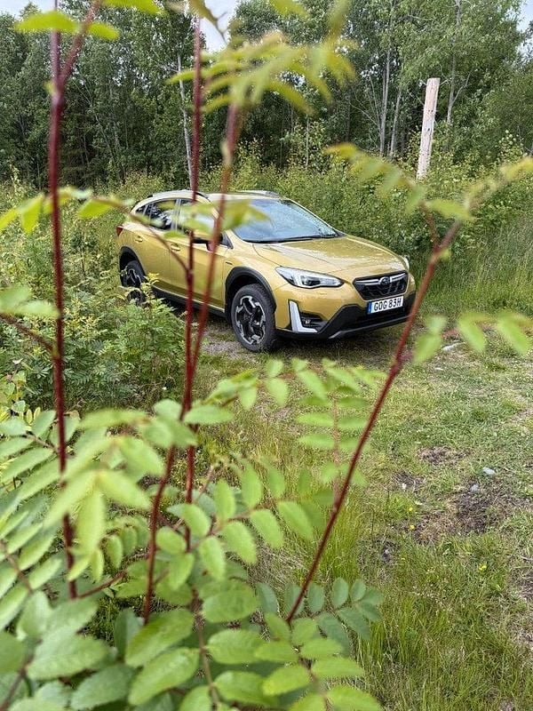Gul Begagnad 2022 Subaru XV Active SUV | 299 500 kr (Marknadspris) - Bild 1/4