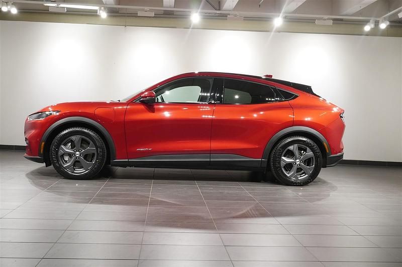 Begagnad Ford Mustang Mach-E Standard Range 221 kW (301 HK) 2022 Rapid red pn4hq SUV