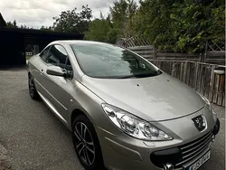 Grå Begagnad 2007 Peugeot 307 CC Cab | 75 000 kr