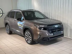 Brun (brilliant bronze metallic) Ny 2024 Subaru Forester SUV | 463 400 kr (Marknadspris)